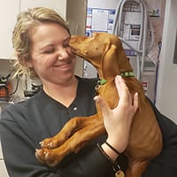 vet tech licked by dog patient
