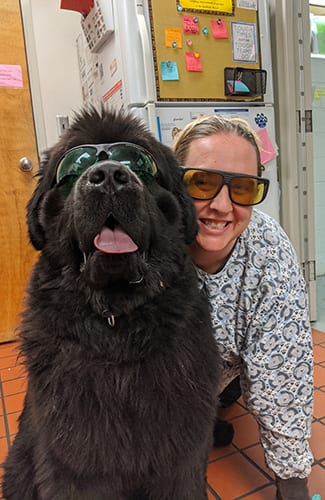 vet tech laser therapy with dog patient