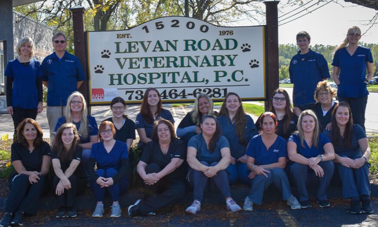 Roadside Veterinary Clinic In Highland Michigan Veterinarian & Animal Hospital in Livonia, MI | Levan Road Veterinary