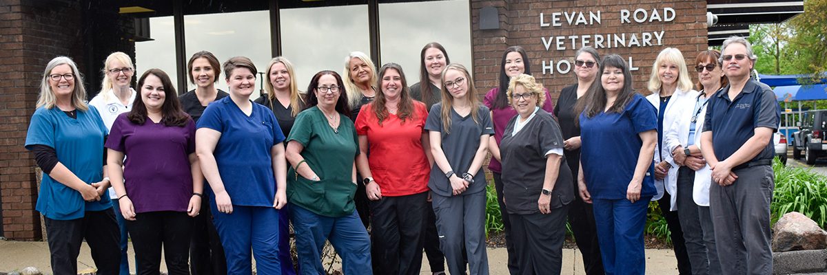 levan-road-veterinary-hospital-staff
